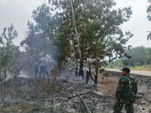 Gerak Cepat Satgas pamtas RI Malaysia Yon Armed 16 TK Memadamkan Kebakaran Hutan di Wilayah Kabupaten Sambas
