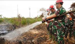 Panglima TNI: Tanpa Kebersamaan Karhutla Tidak Dapat Diatasi