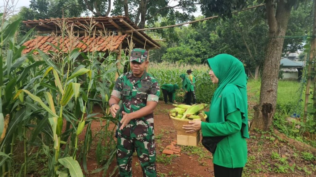 Batalyon Armed 9 Kostrad Mendukung Ketahanan Pangan dan Citra TNI Bersatu dengan Alam