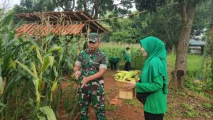 Batalyon Armed 9 Kostrad Mendukung Ketahanan Pangan dan Citra TNI Bersatu dengan Alam