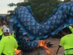 Usai Atraksi, Naga Dibakar Agar Tak Timbulkan Bahaya