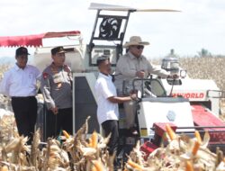 Presidwn RI Pimpin Panen Raya Jagung Serentak Dari Bengkayang