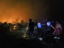 100 Hektare Lahan Gambut Terbakar