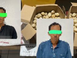 Curi 445 Butir Telur Penyu di Kawasan Konservasi, Dua Pria Diamankan Polisi di Paloh