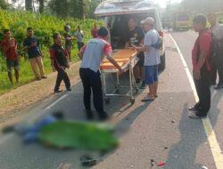 Pelajar Tewas di Tempat Usai Tabrakan dengan Truk Tronton di Batang Tarang