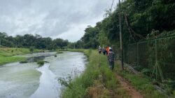 Sungai Engkadan dan Sekayu Menghitam Saat Hujan, Aktivitas PT APS Jadi Sorotan Warga Tayan Hulu