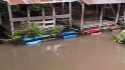 Sungai Menghitam Tiap Hujan, Warga Tayan Hulu Merasa Diteror Limbah: LSM Hanura Tuding Ada Pembiaran