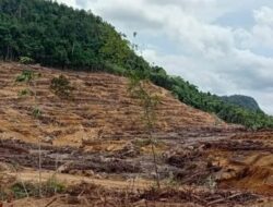 PT CUT Langar Aturan, Penegakan Hukum Dipertanyakan