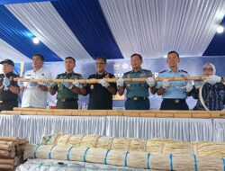 Ekspor Ilegal Rotan Digagalkan