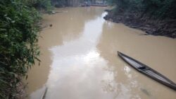 Diduga Dampak PETI dan Tambang, Air Sungai Tak Layak Pakai
