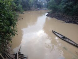Diduga Dampak PETI dan Tambang, Air Sungai Tak Layak Pakai