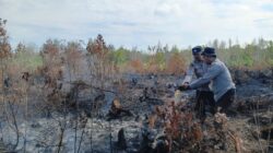 Petugas Kesulitan Padamkan Kebakaran Lahan Gambut