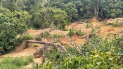 Jembatan Terancam, PETI Dibiarkan? Warga Bengkayang Minta Ketegasan