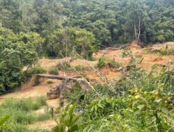Jembatan Terancam, PETI Dibiarkan? Warga Bengkayang Minta Ketegasan