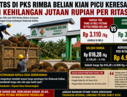 Harga TBS di PKS Rimba Belian Picu Keresahan, Petani Kehilangan Jutaan per Ritase