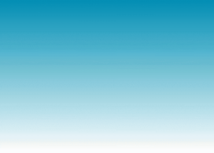 Example 1000x300