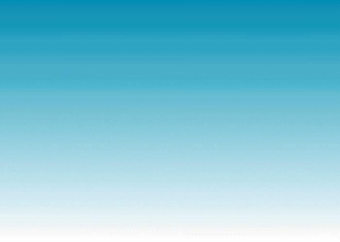 Example 1000x300