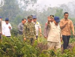 Presiden Prabowo Tinjau Karhutla di Kalbar, 198 Hotspot Dipastikan Titik Api