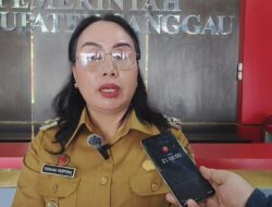 Sanggau Tak Masuk Daftar Bantuan Karhutla, Susana Minta Pemerintah Pusat Beri Perhatian