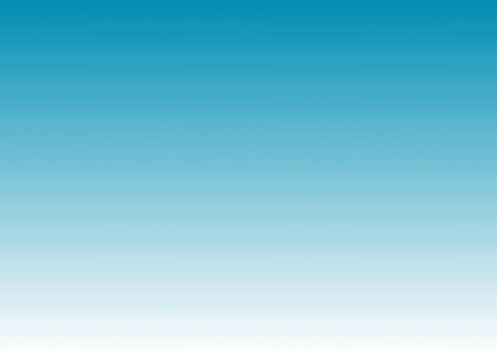 Example 1000x300