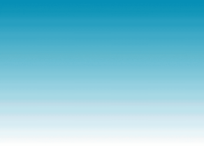 Example 1000x300