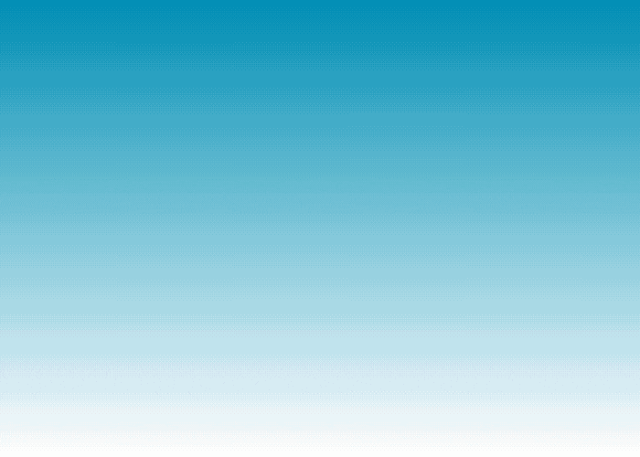 Example 1000x300